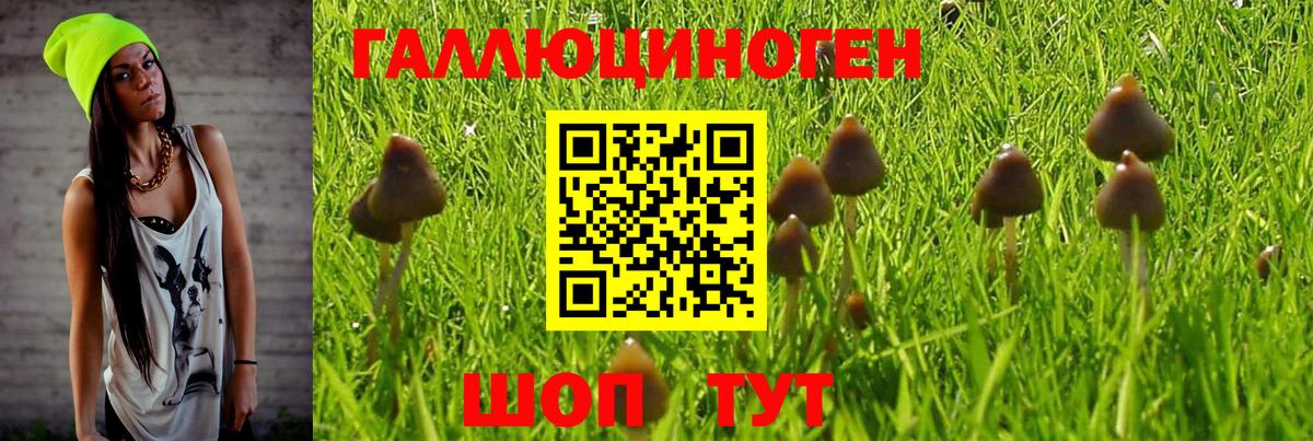 Ярославль  Галлюциногенные грибы мухоморы  Вход с VPN 