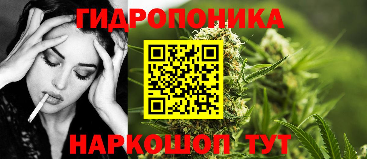 Канабис сатива Ярославль